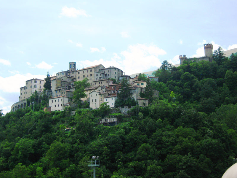 Arquata del Tronto